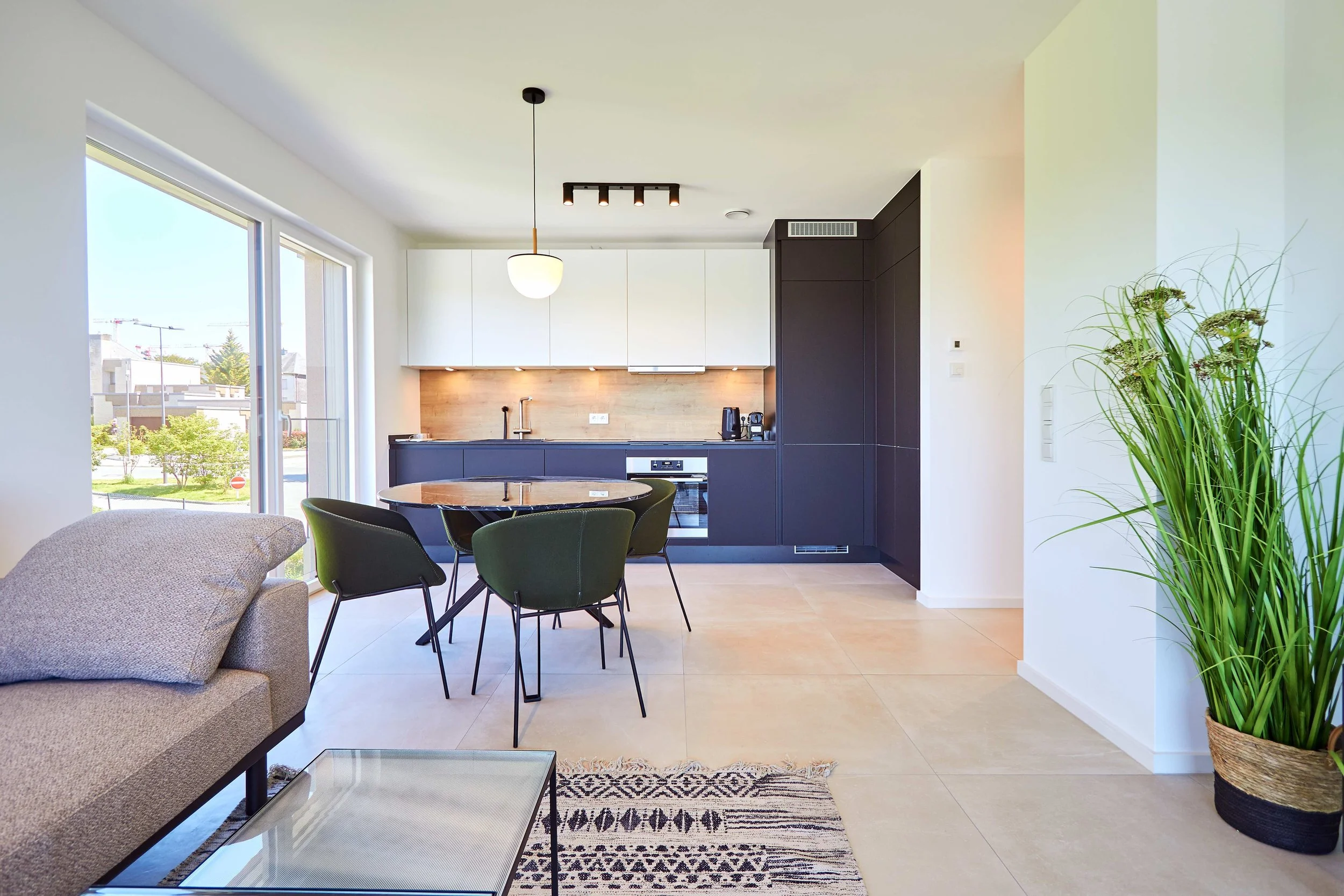 04 Livingroom Kitchen_small.jpg