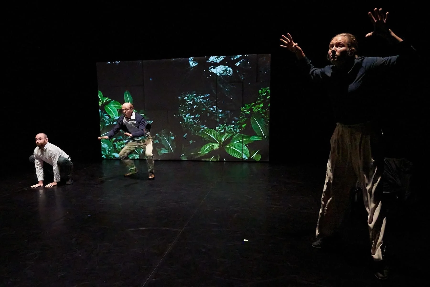 @ Jan Vesala and Cosmin yourphotostory.dk 