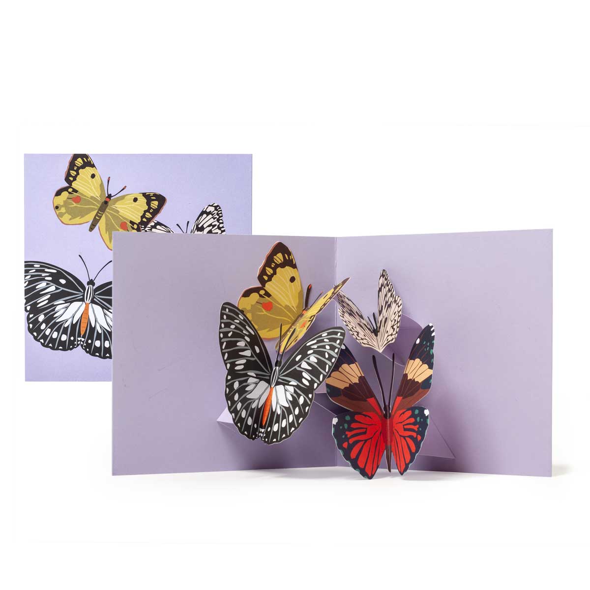 2-to-Tango_4-Butterflies-Pop-up-card_MaikeBiederstaedt.jpg