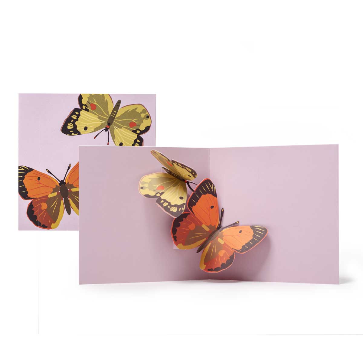 2-to-Tango_Two-Butterfly-Pop-up-card_MaikeBiederstaedt.jpg