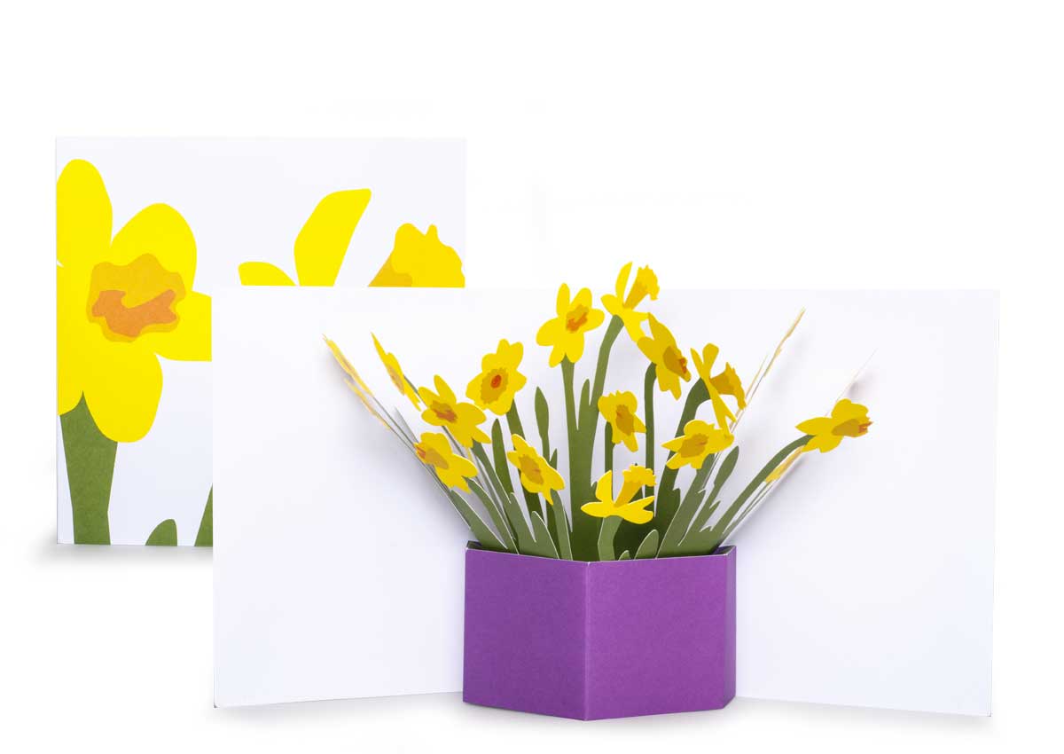 Pop-up-card_2toTango_Flowers_Daffodils_Biederstaedt_1200x850px.jpg