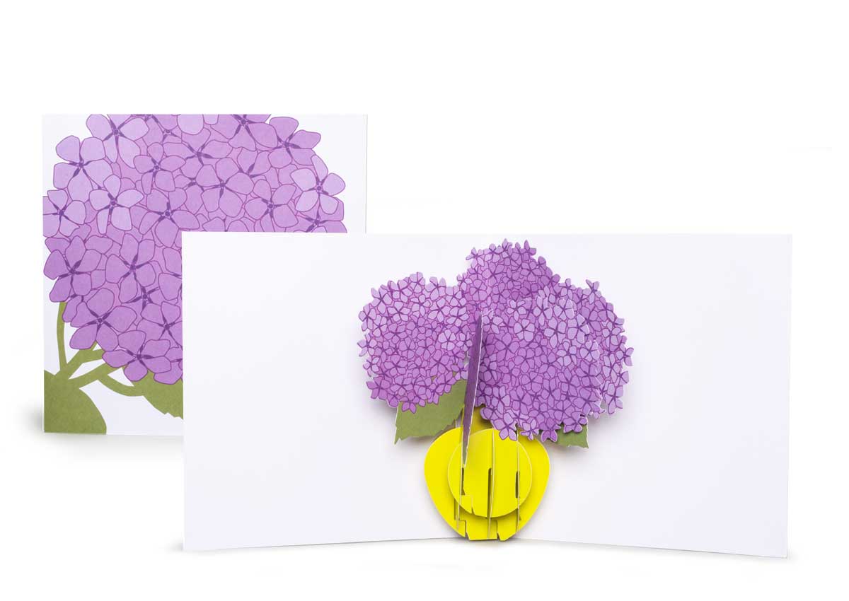 Pop-up-card_2toTango_Flowers_Hydrangea_Biederstaed_1200x850px.jpg