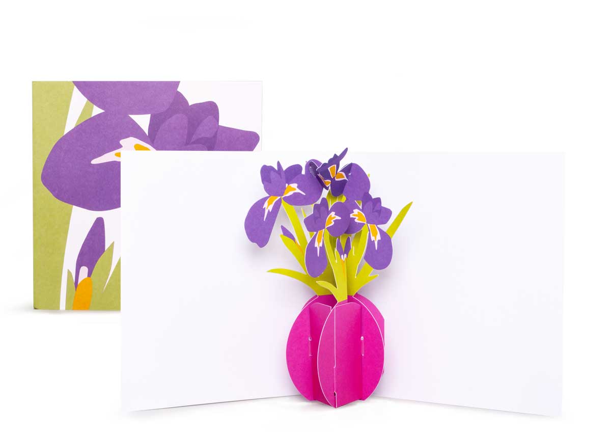 Pop-up-card_2toTango_Flowers_Irises_Biederstaed_1200x850px.jpg