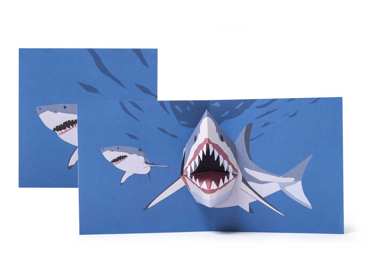 Pop-up-card_2toTango_SeaCreatures_Sharks_Biederstaedt_1200x850px.jpg