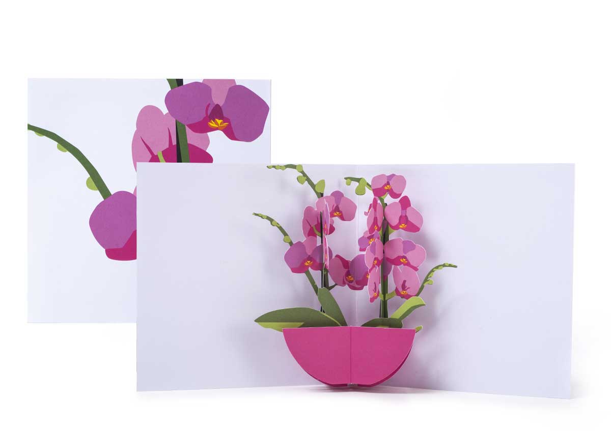 Pop-up-card_2toTango_Flowers_Orchids_Biederstaedt_1200x850px.jpg