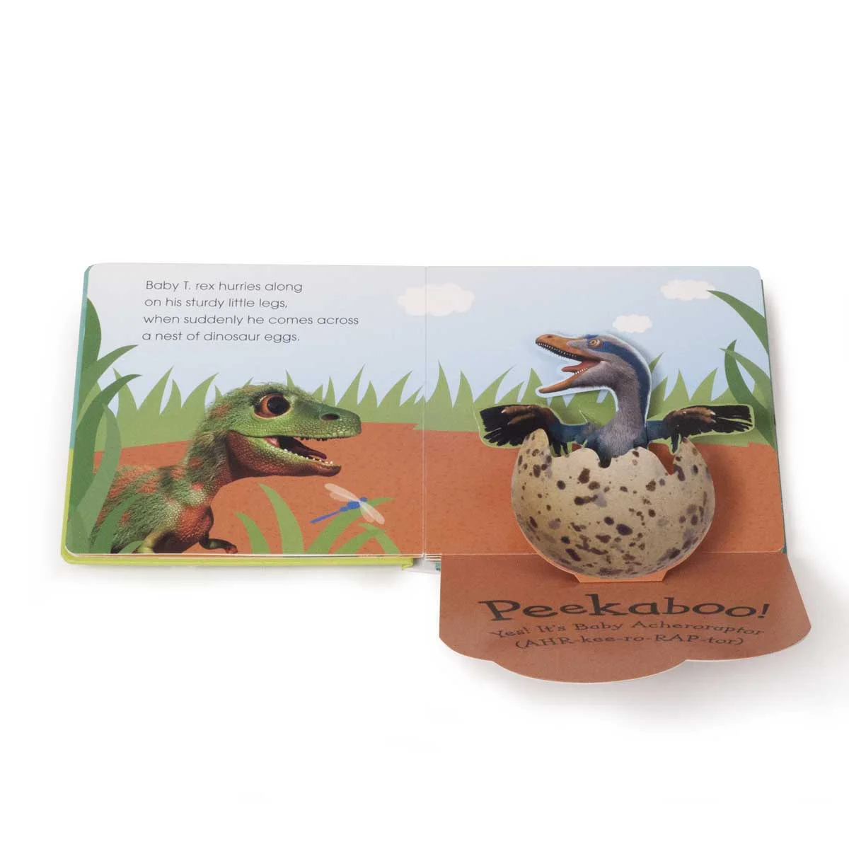 pop up peekaboo baby dinosaur