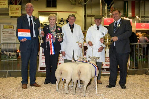 Smithfield sheep champions 2011, David and Linda Wadland’s Blue Texel cross lambs