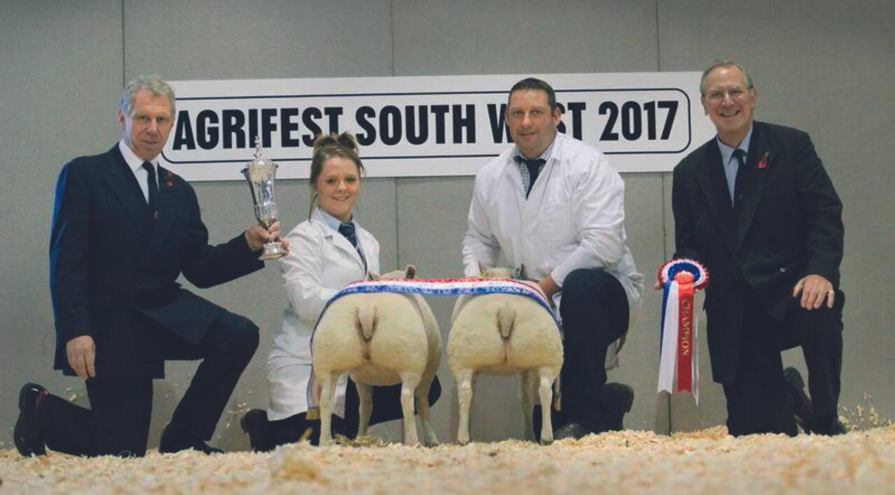 2017 Agrifest Sheep Champion