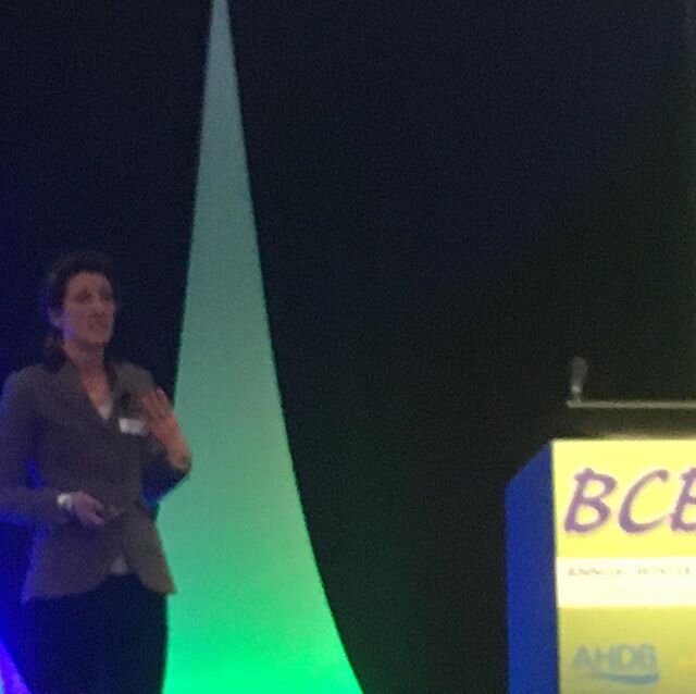 Dr Jude Capper speaking at the British Cattle Breeders Conference, Telford, on how the beef industry can successfully communicate its environmental advantages. Cattle really are part of the solution!