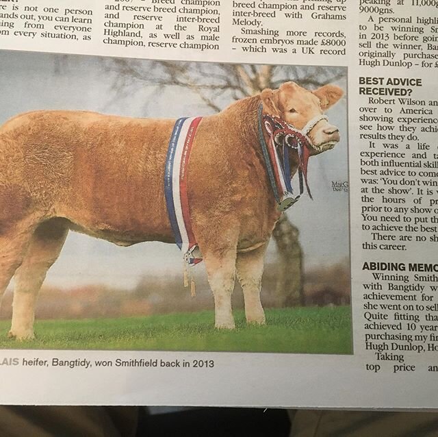 The Scottish Farmer continues its &lsquo;Stockmen of our Time&rsquo; features with their May 30 article on Drew Hyslop. Abiding memories: winning Smithfield 2013 with Bangtidy, a Charolais heifer which went on to sell for &pound;8,000.