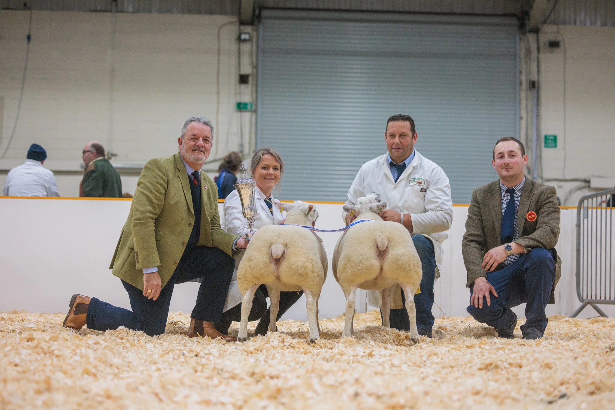 GREAT SHOWING AT AGRIFEST SOUTH WEST