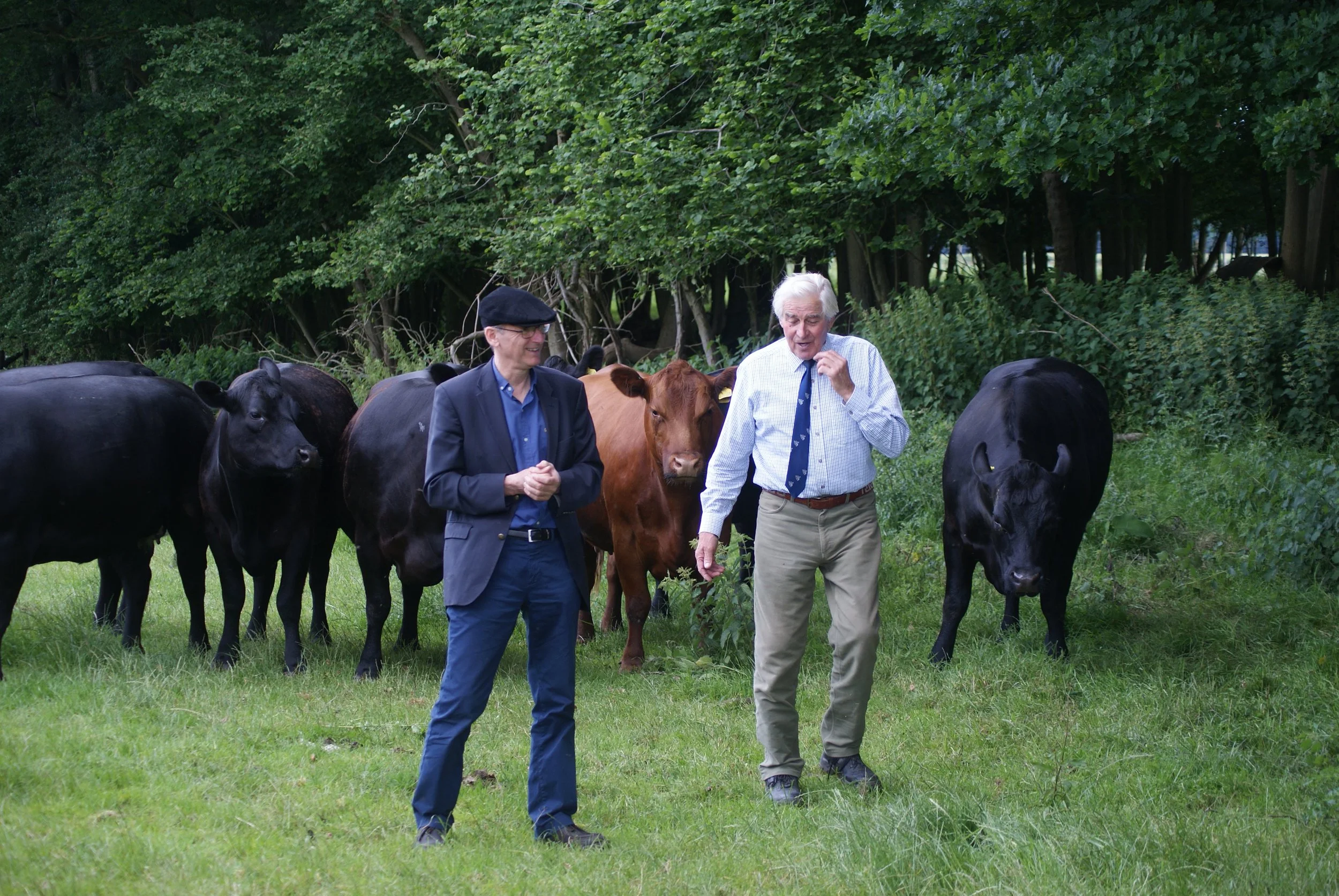 NEW PRESIDENT FOR ROYAL SMITHFIELD