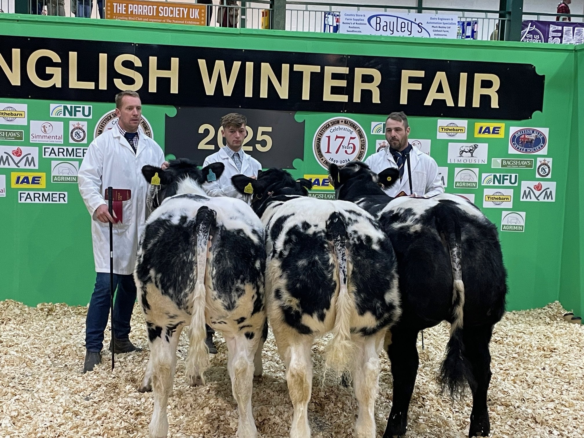 ENGLISH WINTER FAIR - DAY TWO