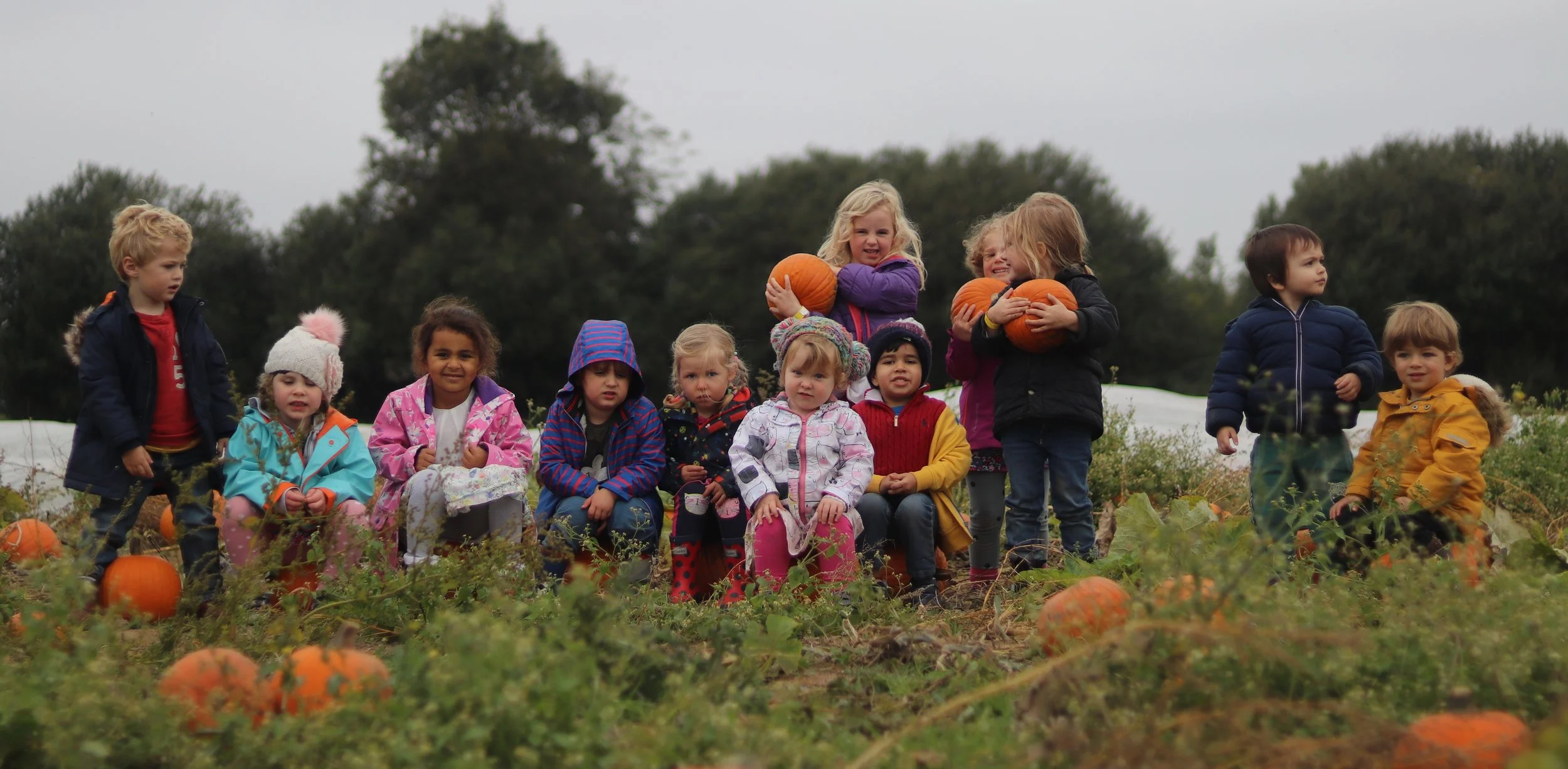 Pumpkins galore!