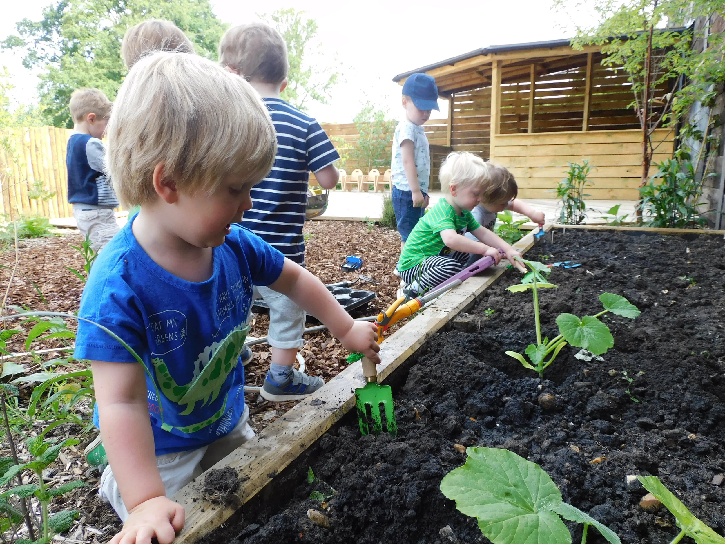 Growing and Cooking at Molesey!
