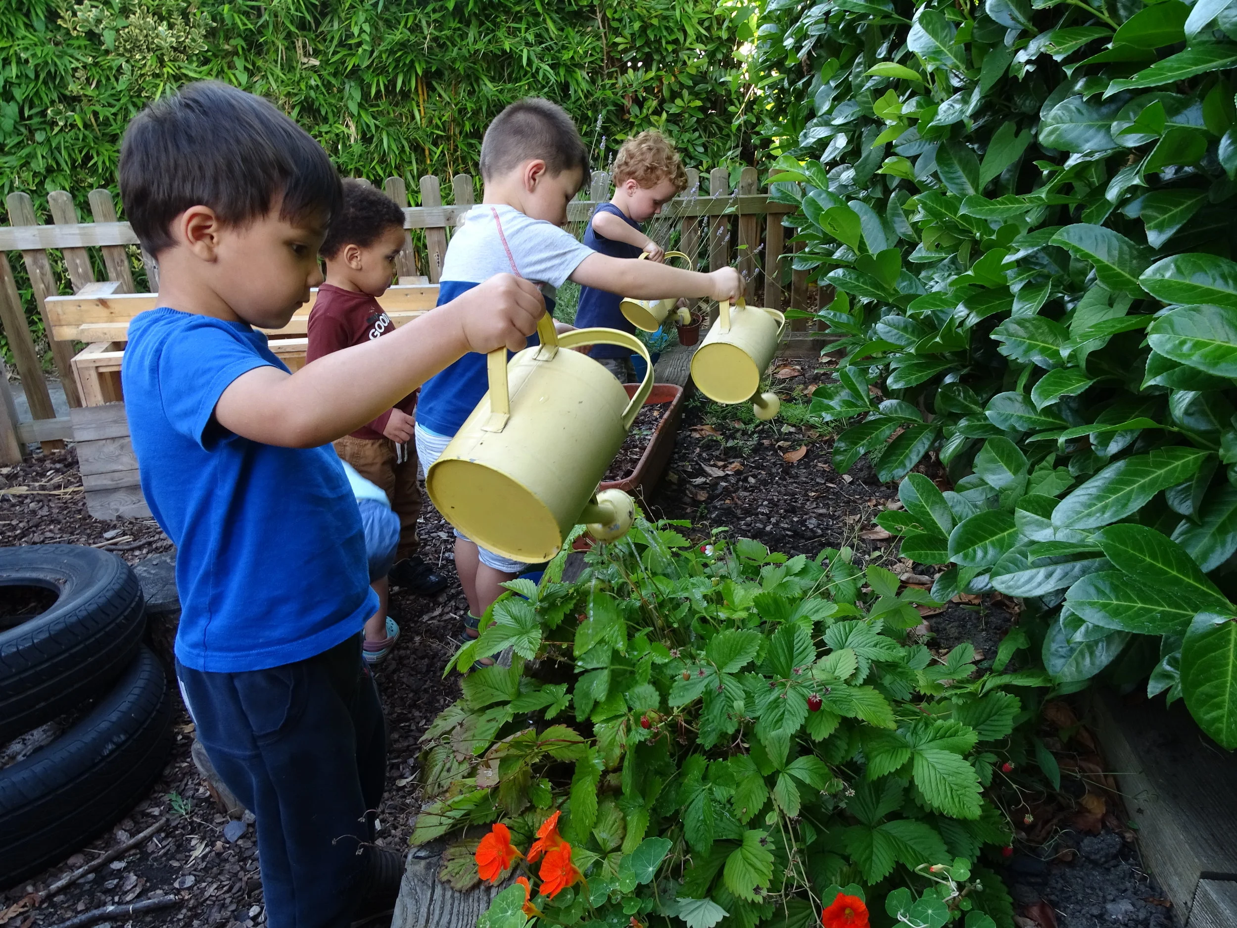 Gardening and mini beasts