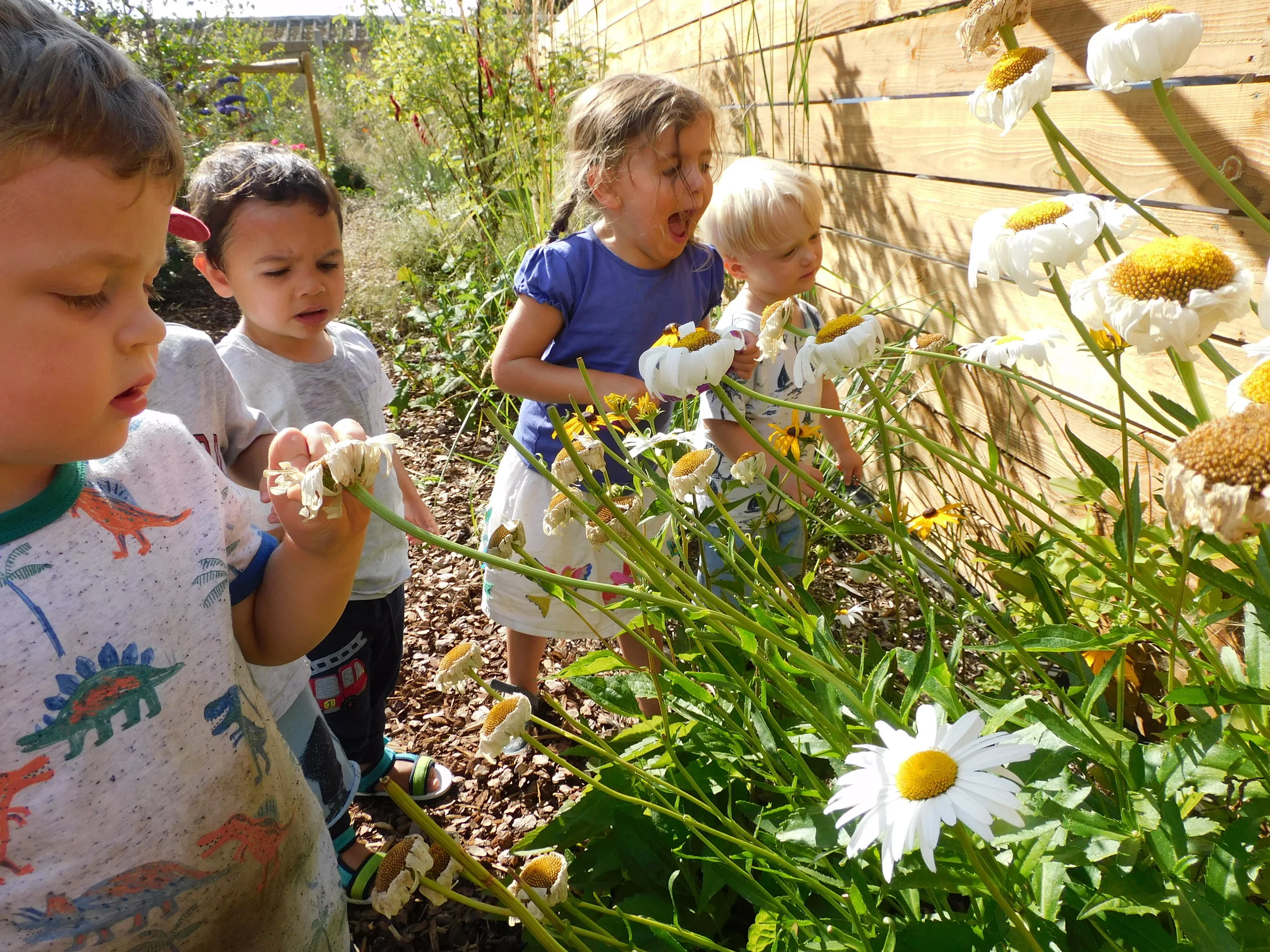 Exploring in the garden at Molesey