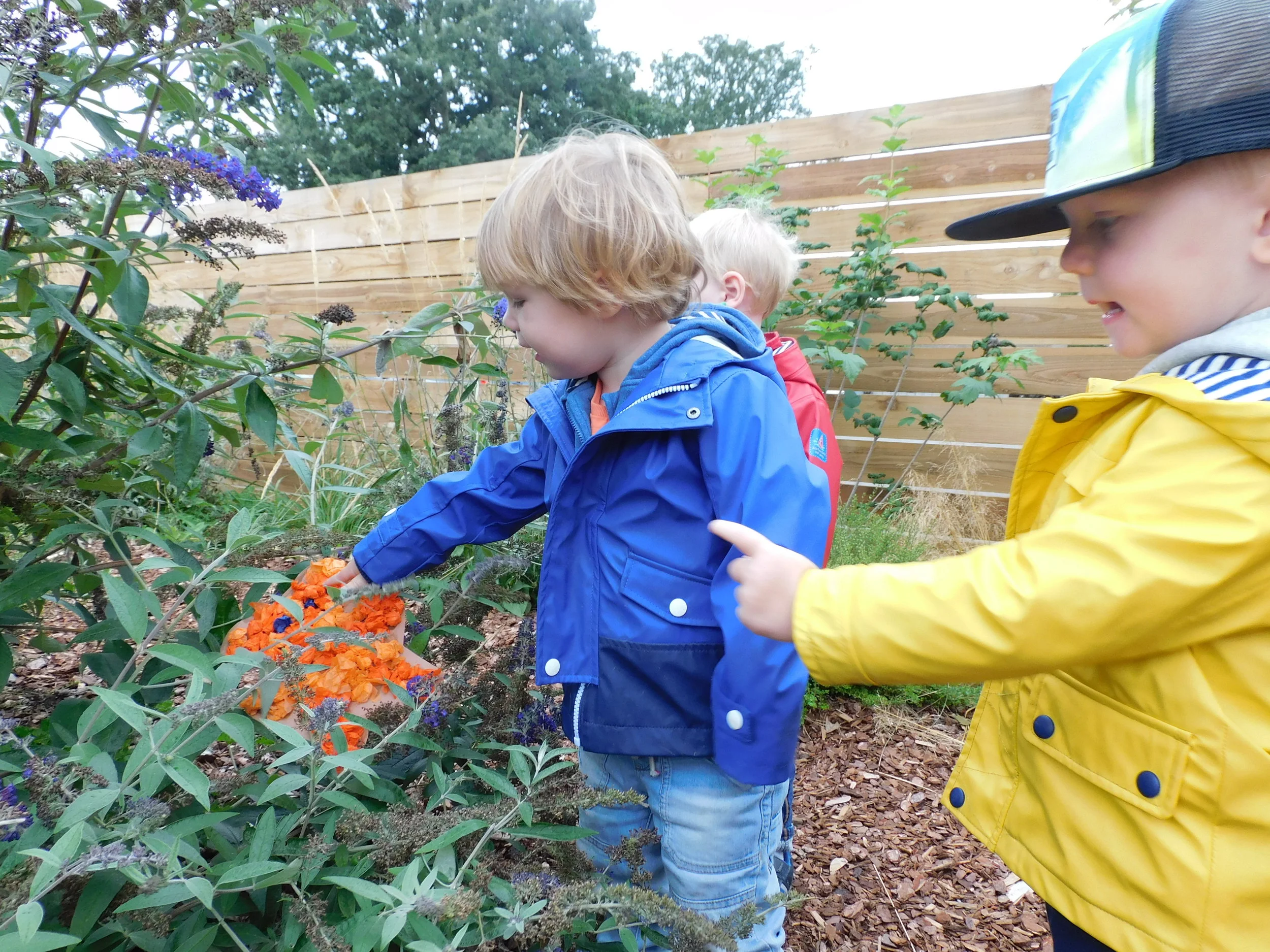 Our favourite stories at Molesey
