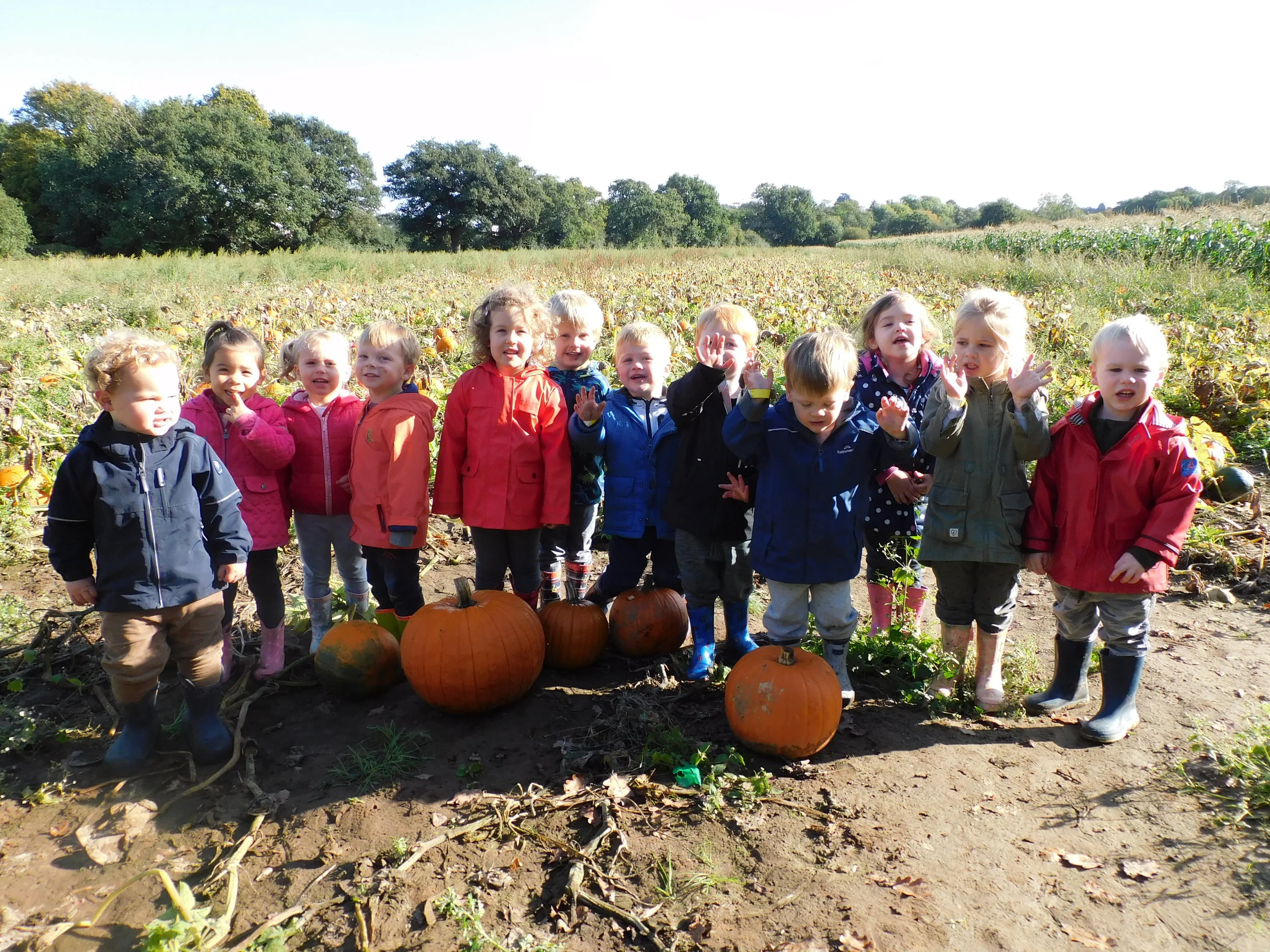 Pumpkin Picking!