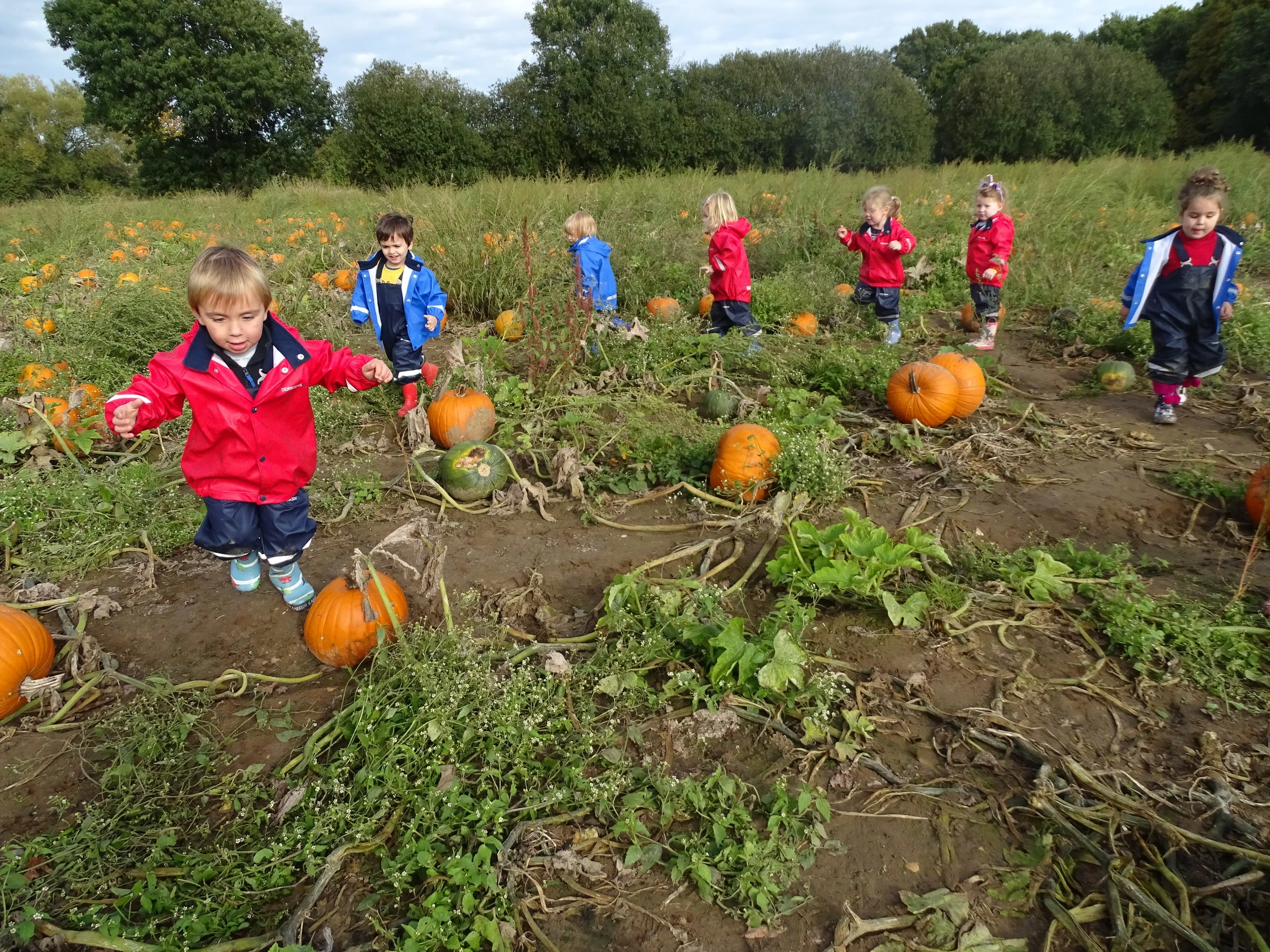 Hamptons Nursery goes to Garsons Farm 