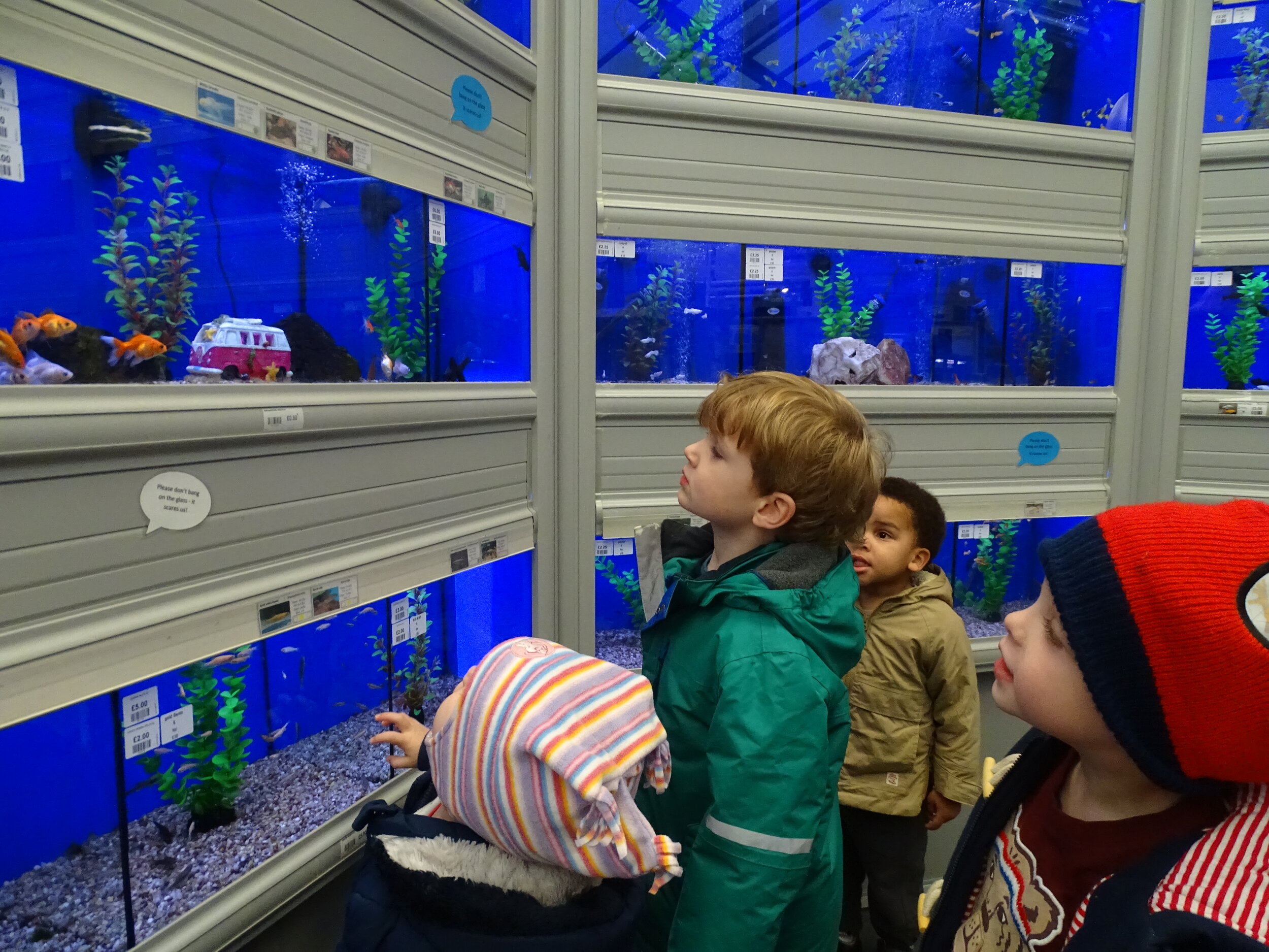 Pet shop !