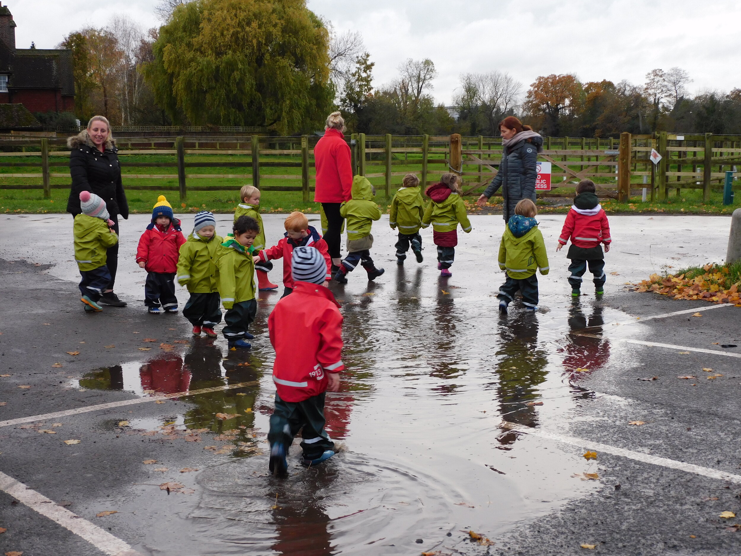 Puddles!