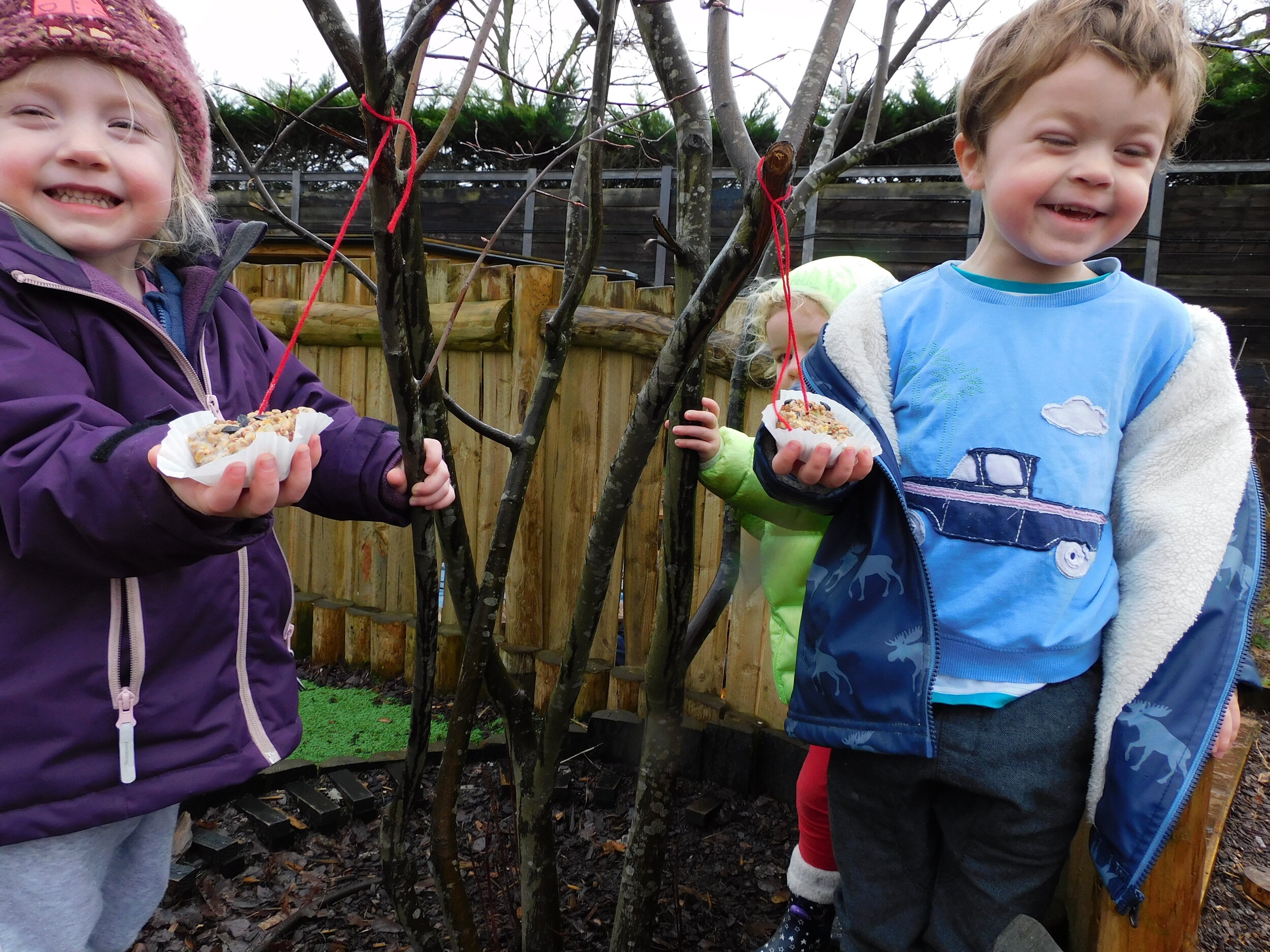 Feed the birds!