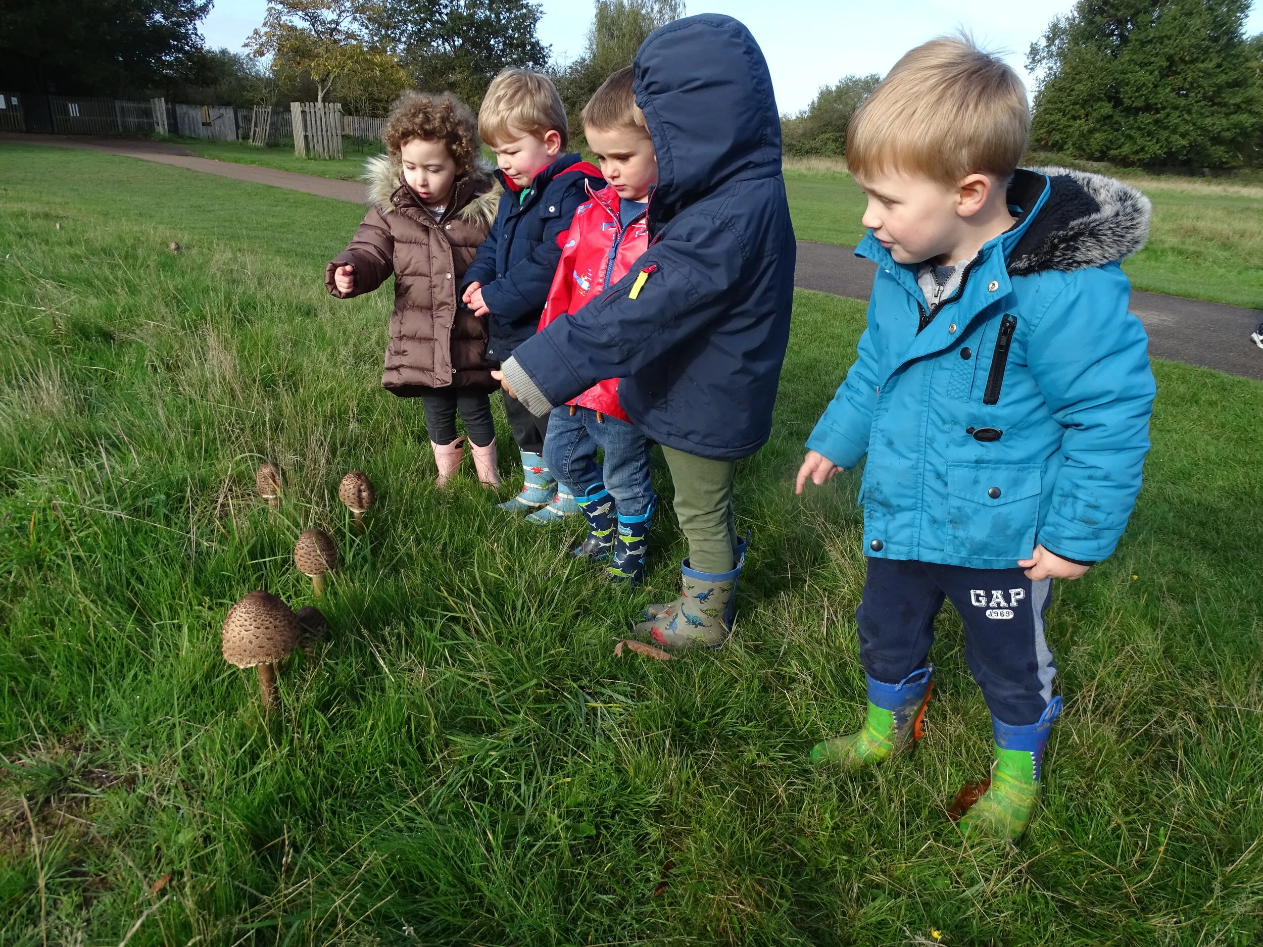 Autumn Fun at Hampton! 
