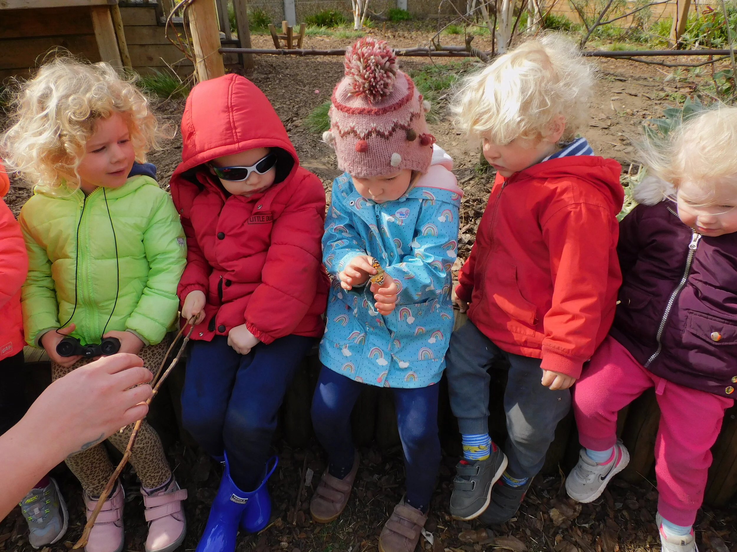 Butterflies at Molesey!