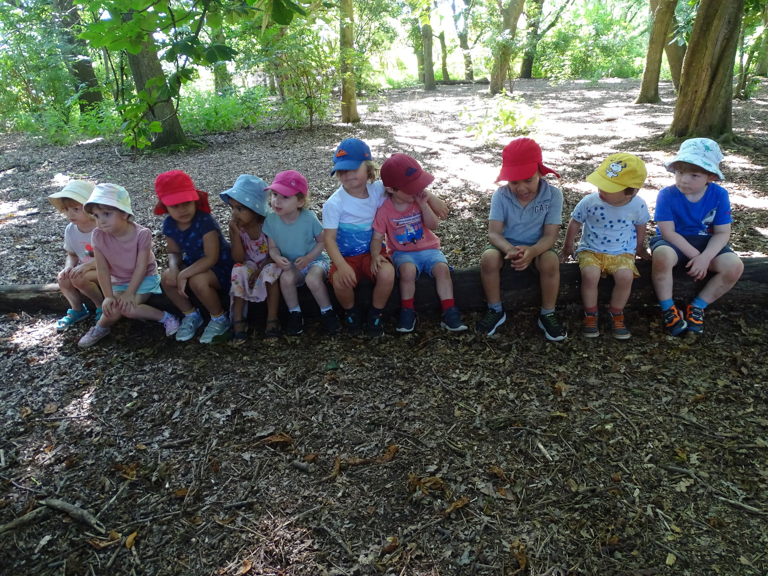 Bug Hunts!