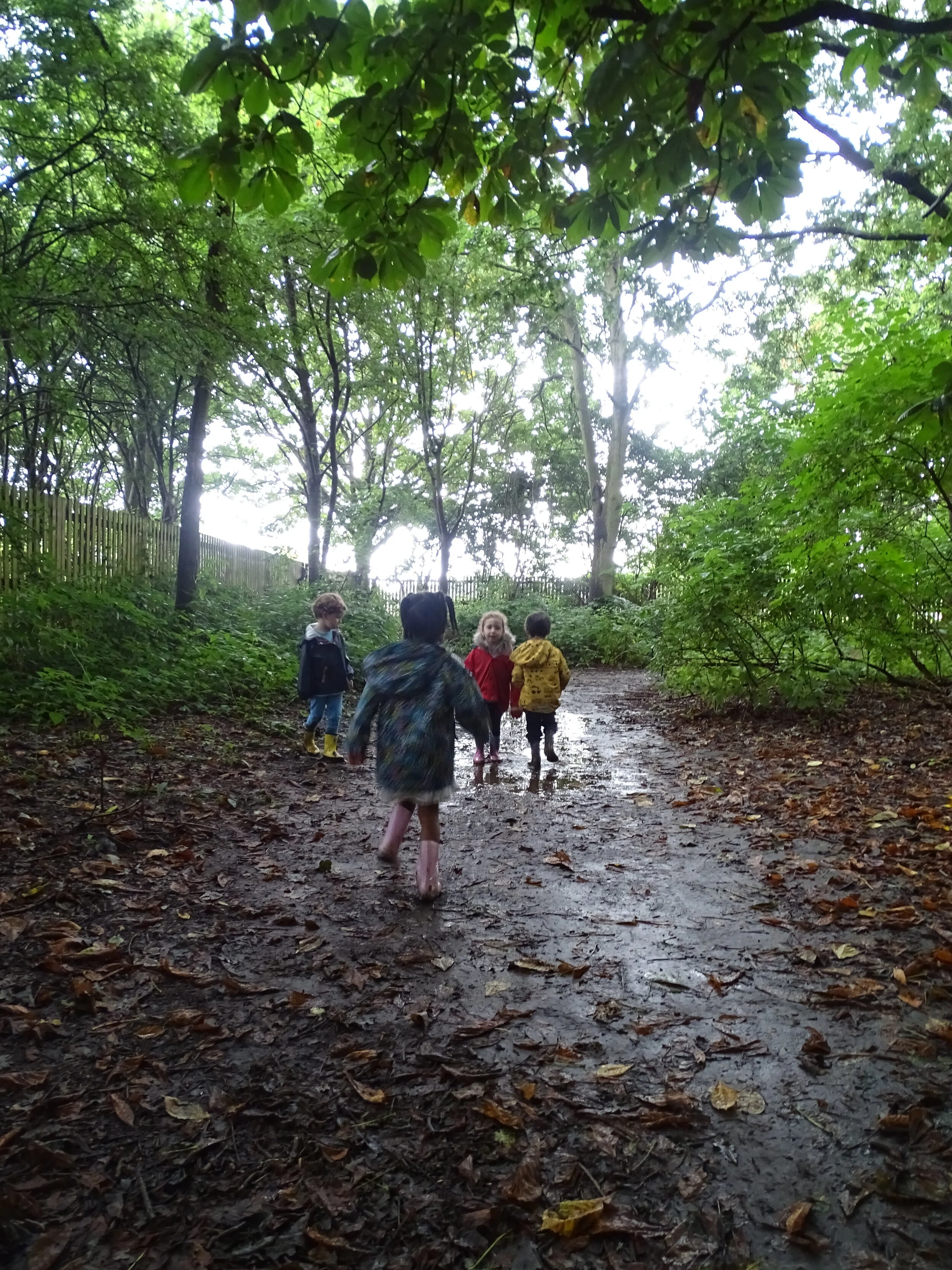 Exploring the woods!