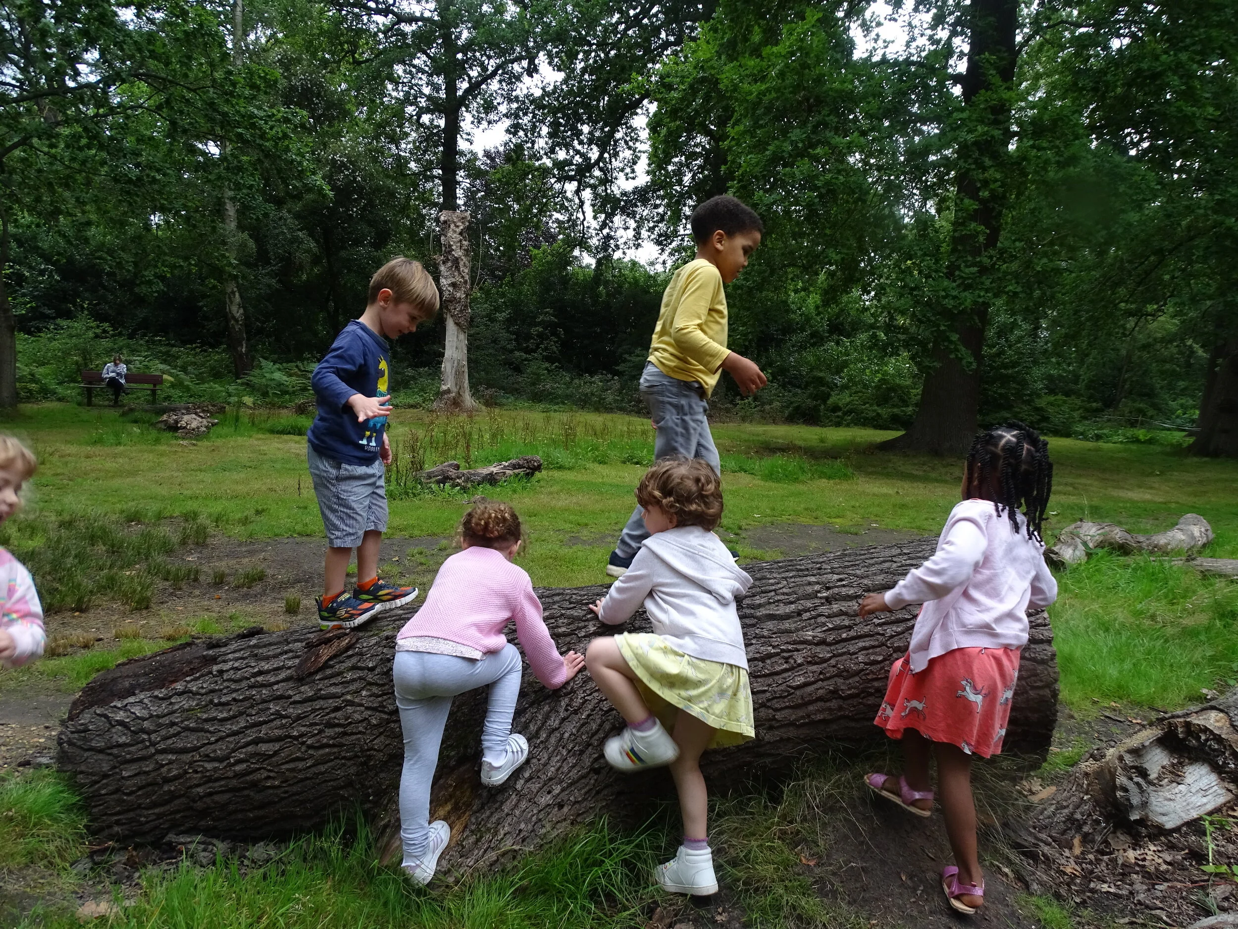 Fruit picking and bugs!