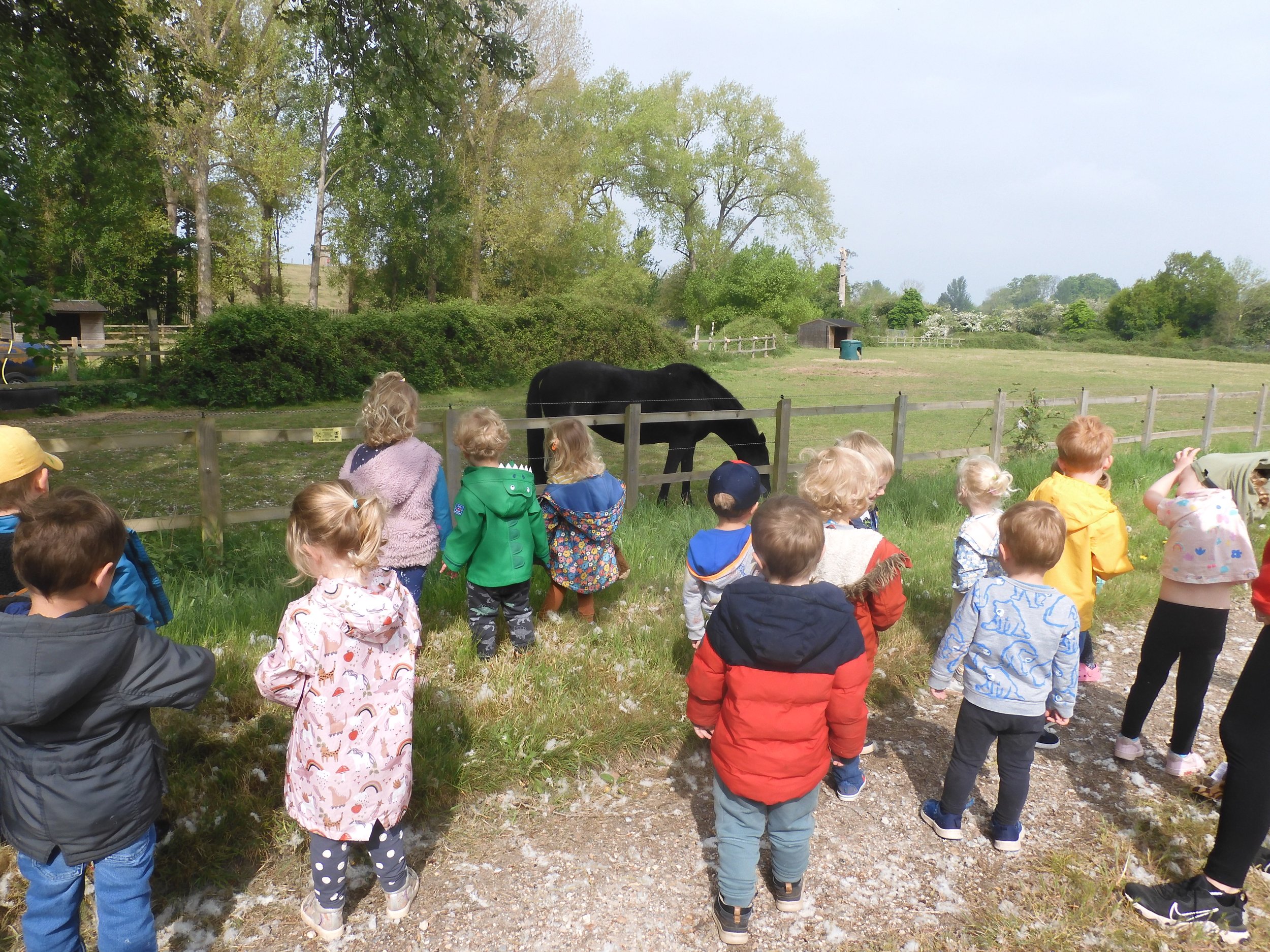 Nature Walks and Magnets!