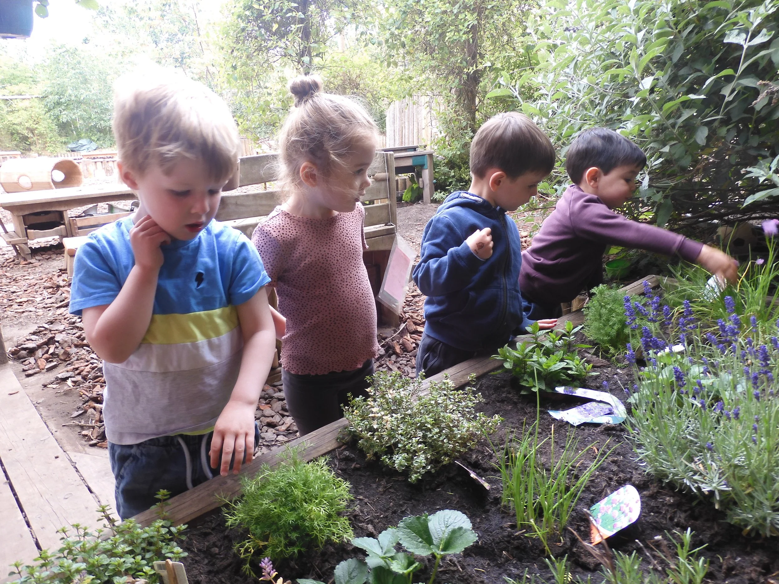 New herb garden and playing field games!