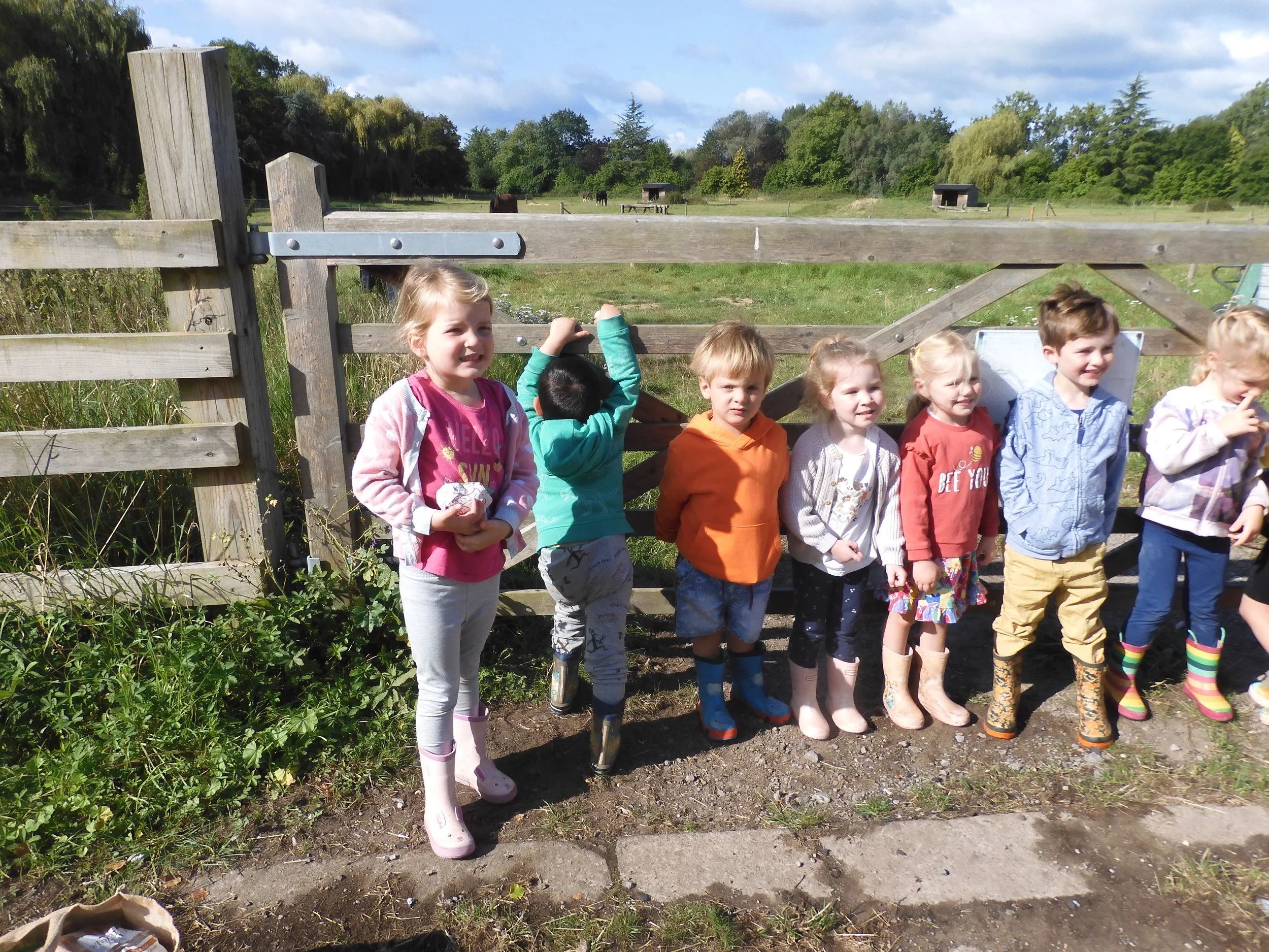 Wormery leaves and spiders!