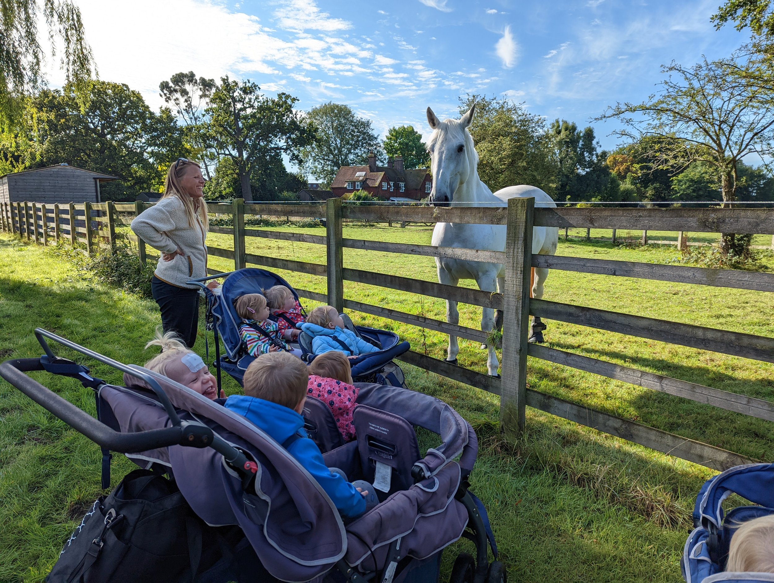 Horses and Rhymes!