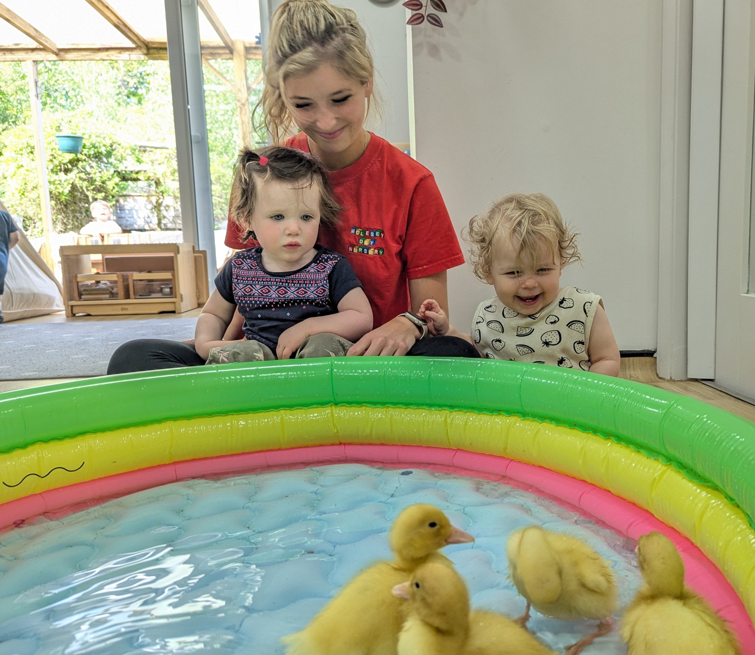 Fun and Learning with the Ducklings! 