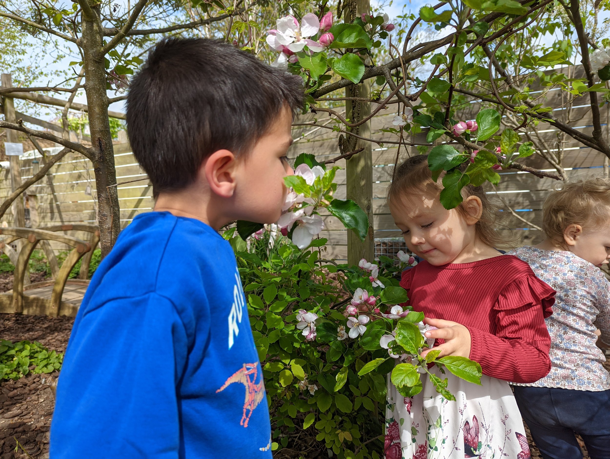 21.jpg