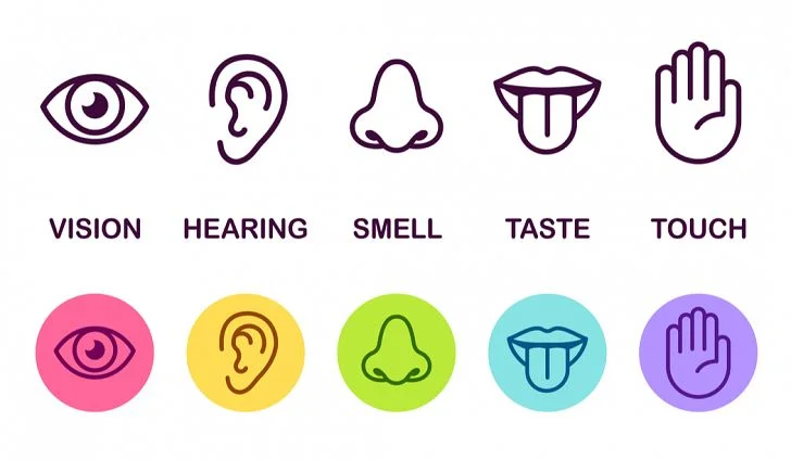 shutterstock-five-senses.jpg