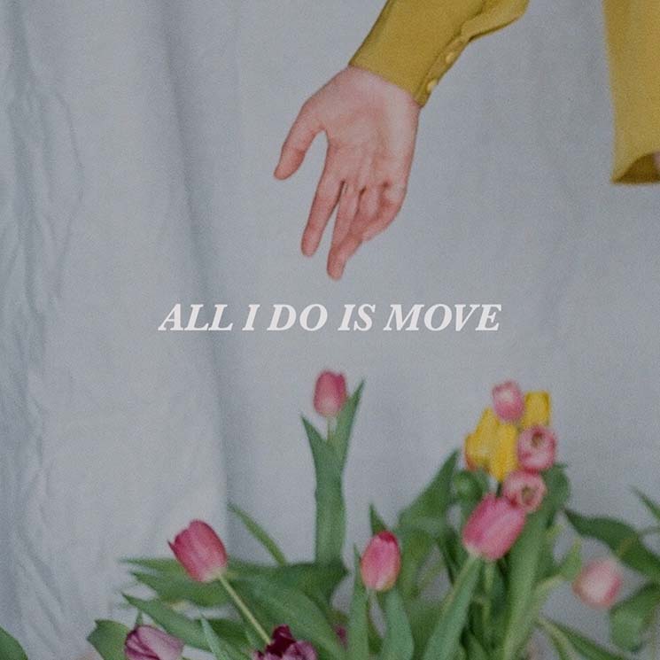 Anna Wiebe: All I Do Is Move (LP, 2019)