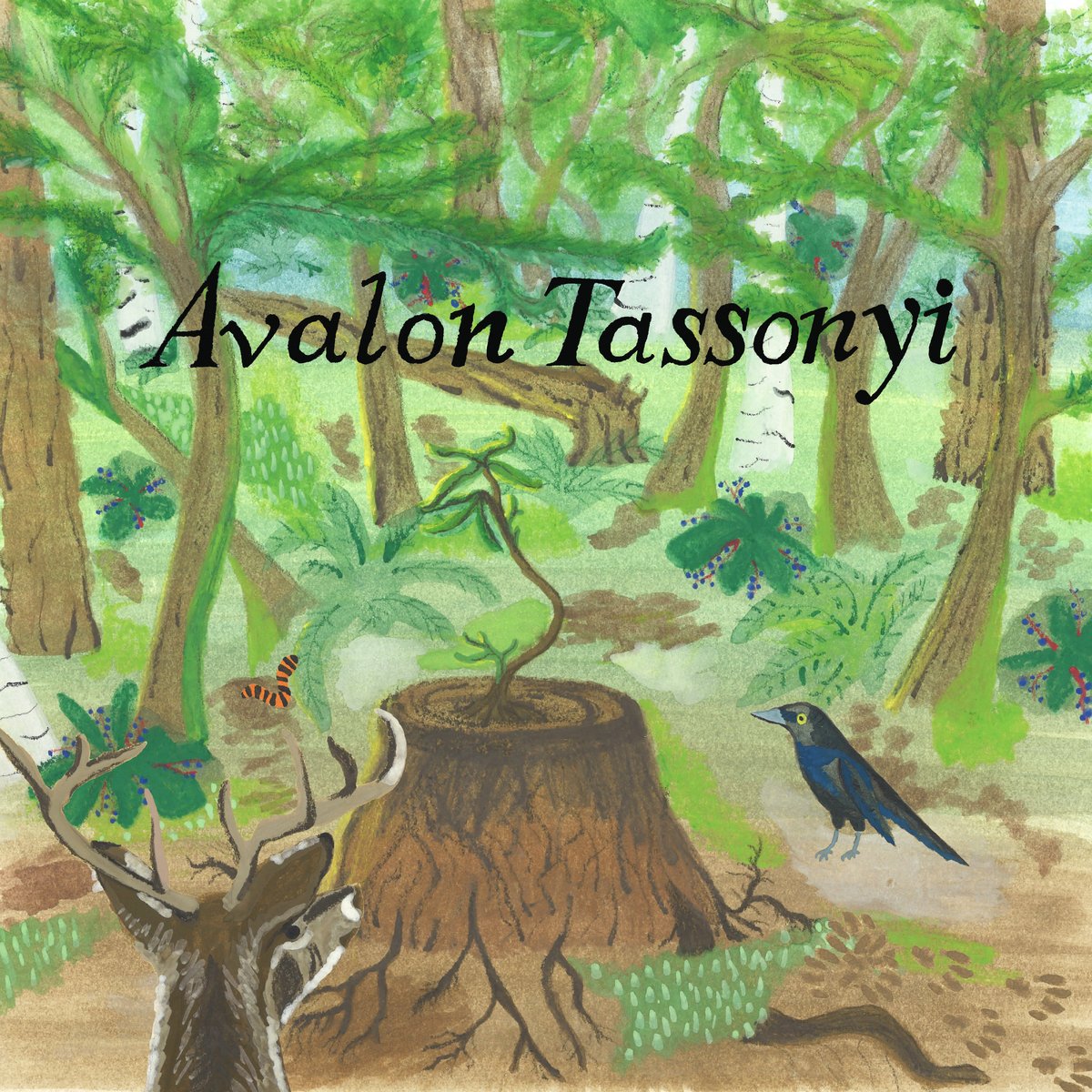 Avalon Tassonyi - Avalon Tassonyi (LP, 2022)