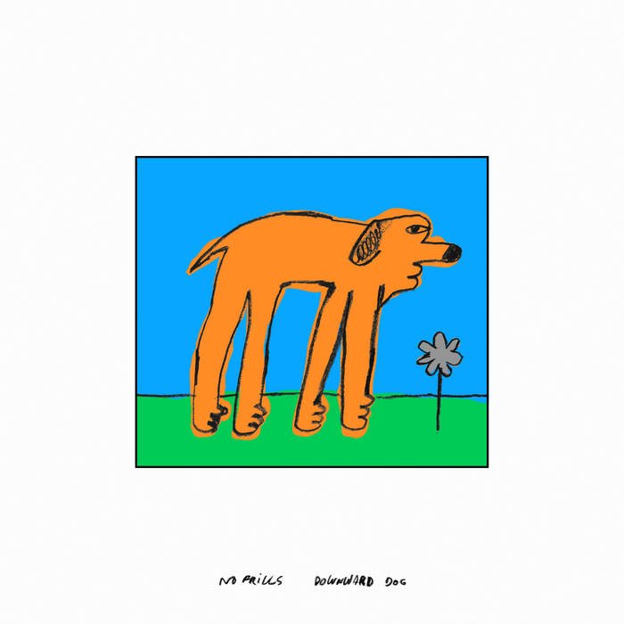 No Frills - Downward Dog (LP, 2022)