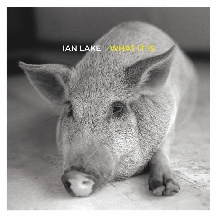 Ian Lake: What It Is (LP, 2022)