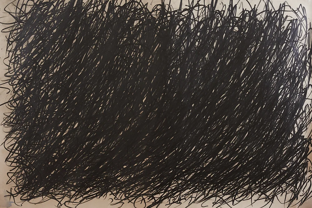 Graphite drawing #2.jpg
