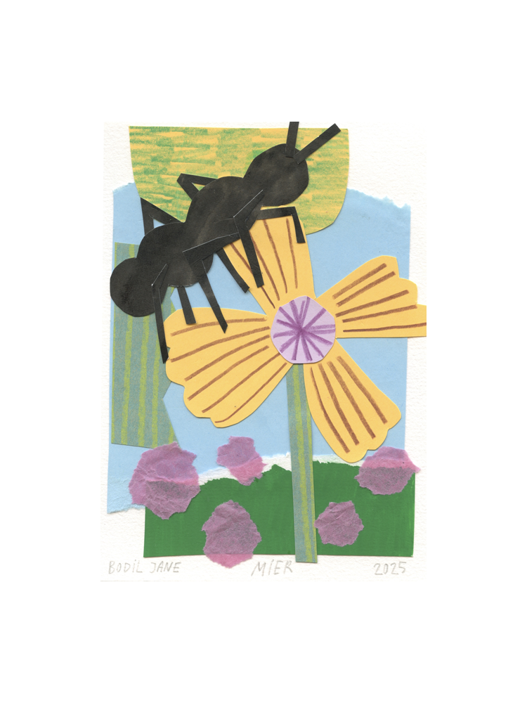Bodil-Jane-2025-Collage-Mier.png