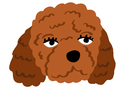 Poodle.gif