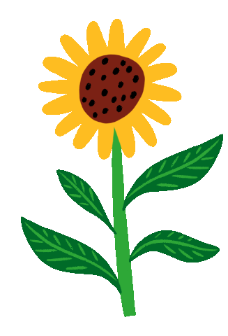 Sunflower.gif