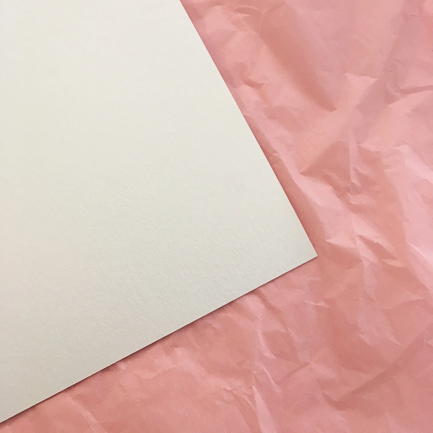 paper-sample-shop.jpg
