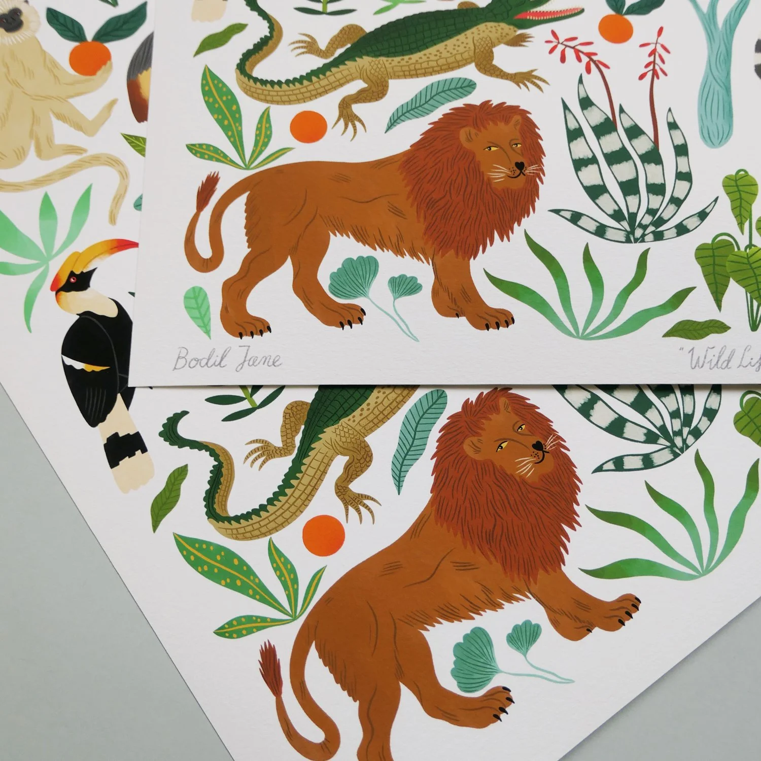 50x40-Shop-Wild-Life-Print-Foto1.jpg
