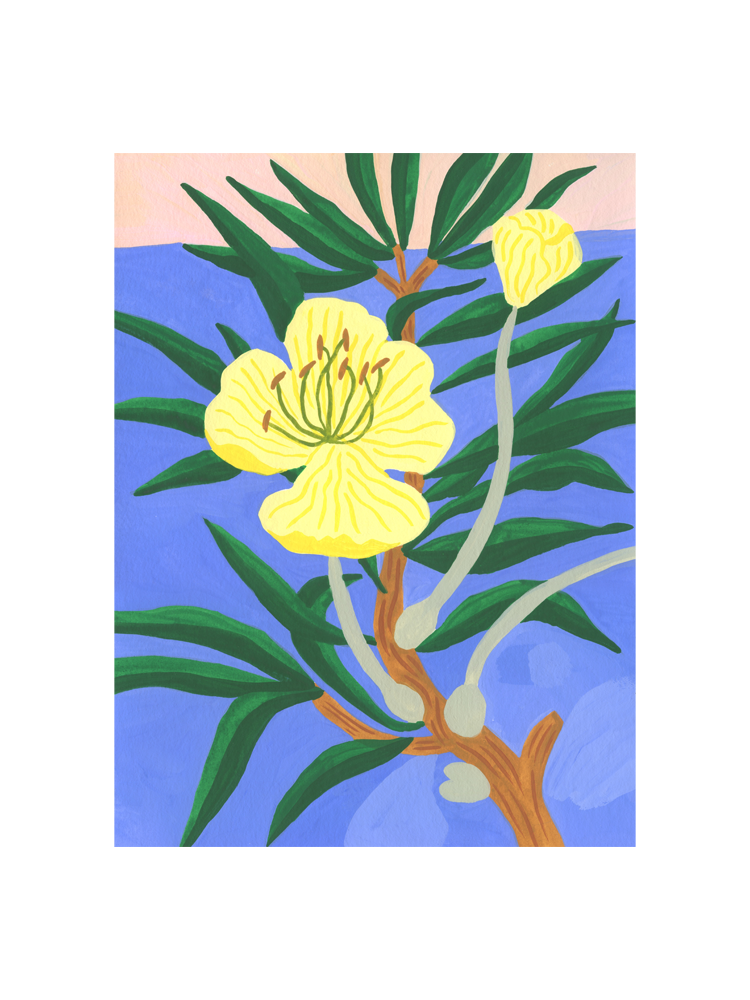 Bodil-Jane-Gouache-Flower.png